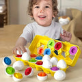 Œufs formes et couleurs - Jeu d'association éducatif enfant