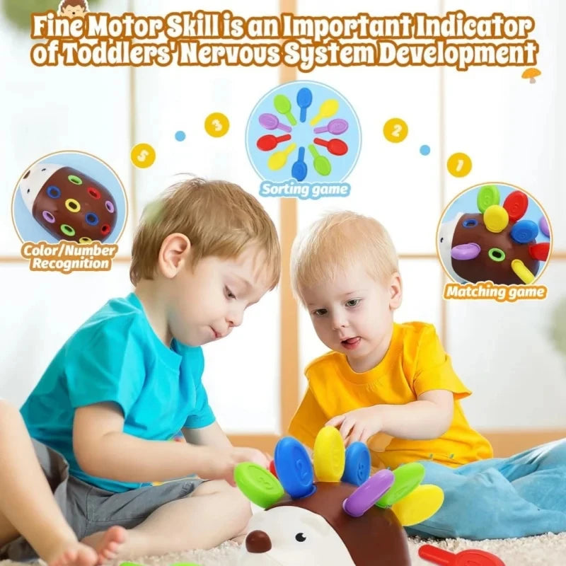 Hérisson sensoriel Montessori - Jouet éveil motricité fine 1-4 ans